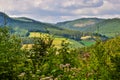 Sauerland germany nature scape Royalty Free Stock Photo
