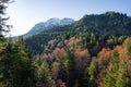 Sauling Mountain peak at Ammergau Alps with beautiful vegetation - Schwangau, Bavaria, Germany