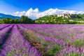 Sault, France - Provence lavender field scenic french village Royalty Free Stock Photo