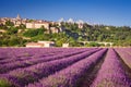 Sault village lavender field in Provence, France Royalty Free Stock Photo