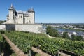 Saumur Royalty Free Stock Photo