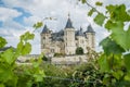 Saumur castle in the summer in the Loire valley Royalty Free Stock Photo