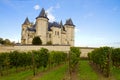 Saumur castle and vineyards Royalty Free Stock Photo