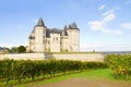 Saumur castle and vineyards Royalty Free Stock Photo