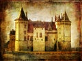 Saumur (loire valley) Royalty Free Stock Photo