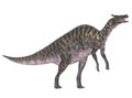 Saurolophus