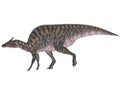 Saurolophus