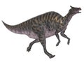 Saurolophus