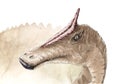Saurolophus portrait