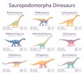 Sauropodomorpha dinosaurs. Colorful vector illustration of dinosaurs isolated on white background. Set of ancient creatures with i