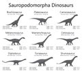 Sauropodomorpha dinosaurs. Monochrome vector illustration of dinosaurs isolated on white background. Set of ancient