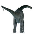 Sauroposeidon Dinosaur Tail Royalty Free Stock Photo