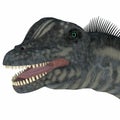 Sauroposeidon Dinosaur Head Royalty Free Stock Photo