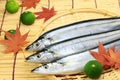 Saury Royalty Free Stock Photo