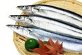 Saury Royalty Free Stock Photo