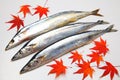 Saury