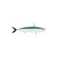 Saury fish icon in flat style