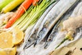 Saury fish Royalty Free Stock Photo