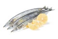 Saury fish Royalty Free Stock Photo