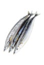 Saury fish Royalty Free Stock Photo