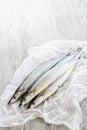 Saury fish Royalty Free Stock Photo