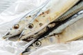 Saury fish Royalty Free Stock Photo