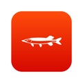 Saury icon digital red