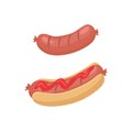 Sausage for Barbecue and Hot Dog in Cartoon Style