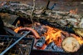 Sausage on bonfire Royalty Free Stock Photo