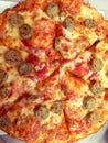 Sausage Cheese Pizza Image