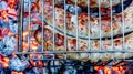 Sausage. Fried meat sausages on a grill grate on the background of hot coals. Juicy sausages on coals. View from above Royalty Free Stock Photo