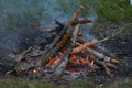 Sausage kebabs outdoors, in nature. A burning bonfire. Royalty Free Stock Photo