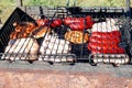 Sausage party. Barbecue large grill outdoors. Cookout bbq food. Big roasted pork bratwurst german sausages, white polish kielbasa Royalty Free Stock Photo