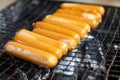 Sausage put on grill ,Fast food energy on morning. Image use for cook in the kitchen