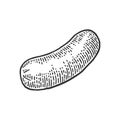 Sausage. Vintage vector engraving illustration