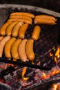 Grilled sausages on the black grate above the fire