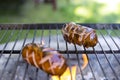 sausages on the grill Royalty Free Stock Photo