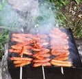 Sausages grilled on charcoal strung on skewers Royalty Free Stock Photo