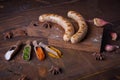 Sausages grilled food background, wood background.