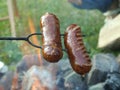 Sausages grilled Royalty Free Stock Photo