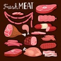 Sausages illustration. Fresh meat and boiled sausage, salami and chicken, raw sliced pork tenderloin and cooked ham for Royalty Free Stock Photo