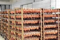 Sausages on racks in a factory.