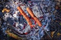 Sausages on skewers are grilled on the coals of a fire. Picnic in the nature Royalty Free Stock Photo