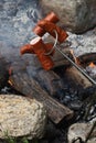 Sausages on the stick