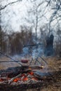 Sausages on the stick grilled in the fire