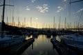 Sausalito Boat Masts in the Harbor