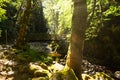 Saut du bouchot canyon in the vosges mountains