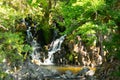 Saut du bouchot canyon in the vosges mountains