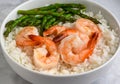 sauteed asparagus and shrim on white rice