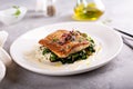 Sauteed fish with leafy greens and rice Royalty Free Stock Photo